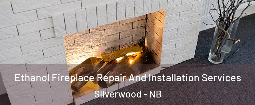  Ethanol Fireplace Repair And Installation Services Silverwood - NB