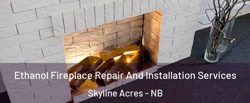 Ethanol Fireplace Repair And Installation Services Skyline Acres - NB
