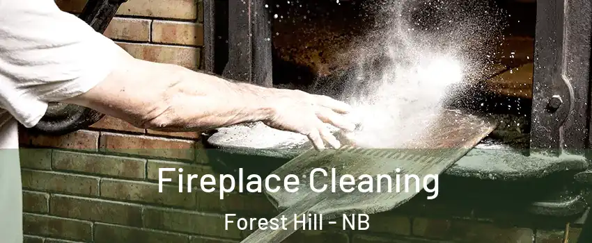  Fireplace Cleaning Forest Hill - NB