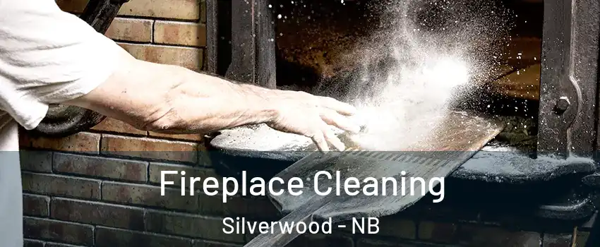  Fireplace Cleaning Silverwood - NB