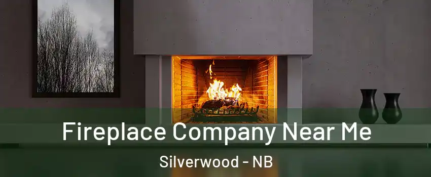 Fireplace Company Near Me Silverwood - NB