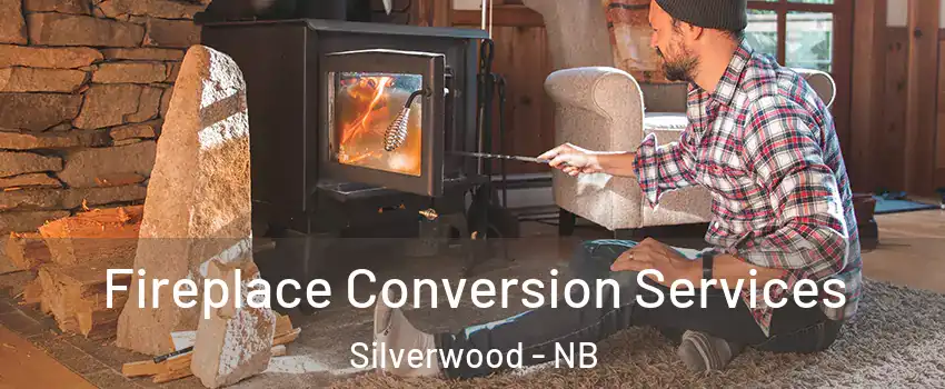  Fireplace Conversion Services Silverwood - NB