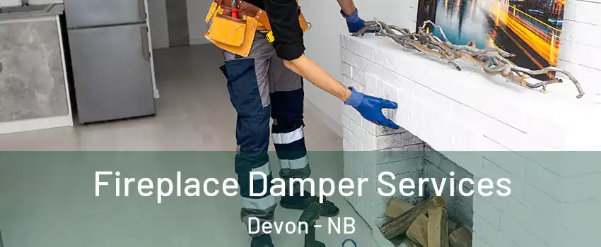  Fireplace Damper Services Devon - NB