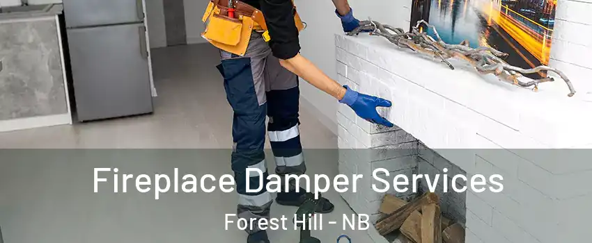  Fireplace Damper Services Forest Hill - NB