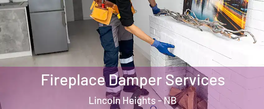  Fireplace Damper Services Lincoln Heights - NB