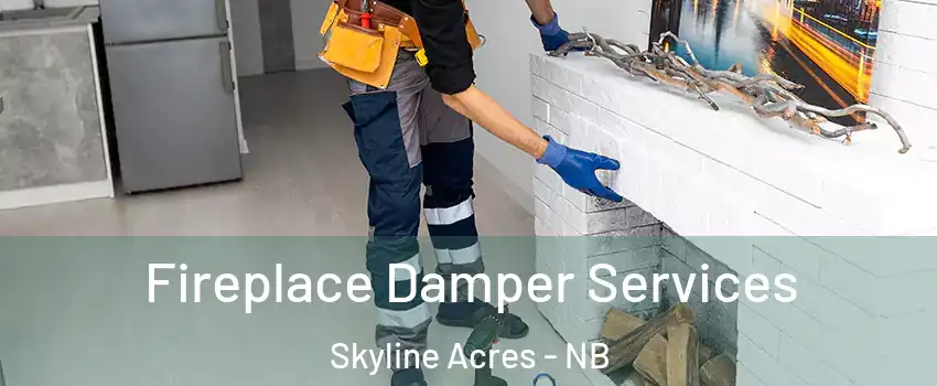  Fireplace Damper Services Skyline Acres - NB