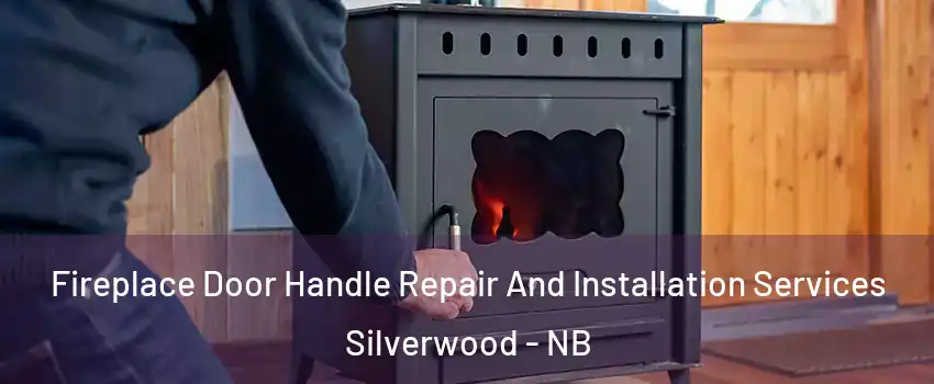 Fireplace Door Handle Repair And Installation Services Silverwood - NB