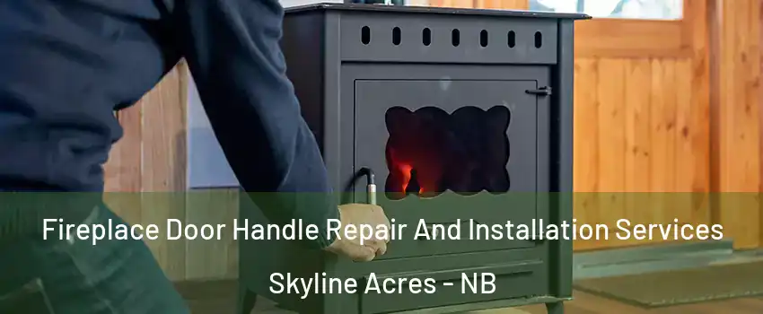  Fireplace Door Handle Repair And Installation Services Skyline Acres - NB