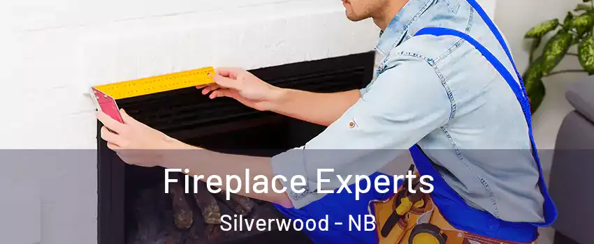  Fireplace Experts Silverwood - NB