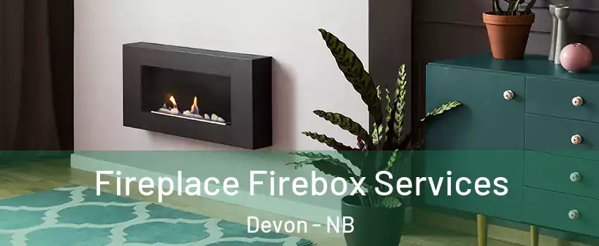  Fireplace Firebox Services Devon - NB