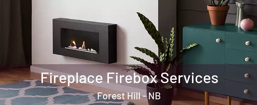  Fireplace Firebox Services Forest Hill - NB