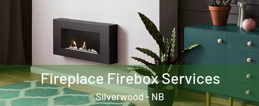  Fireplace Firebox Services Silverwood - NB