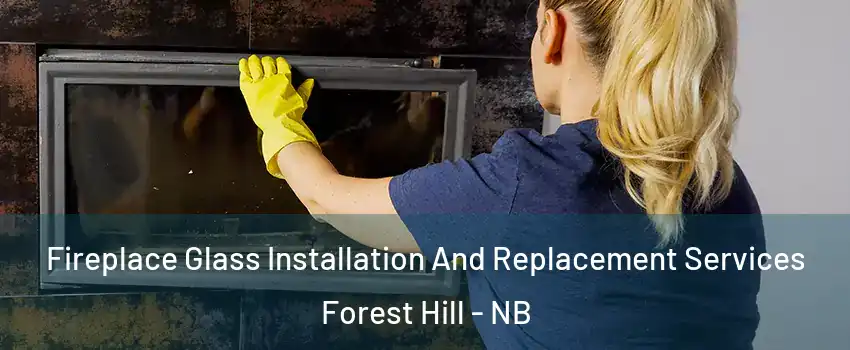  Fireplace Glass Installation And Replacement Services Forest Hill - NB