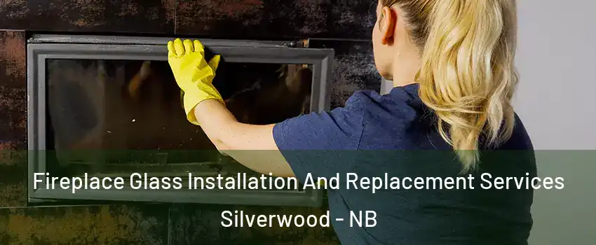  Fireplace Glass Installation And Replacement Services Silverwood - NB