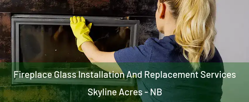  Fireplace Glass Installation And Replacement Services Skyline Acres - NB