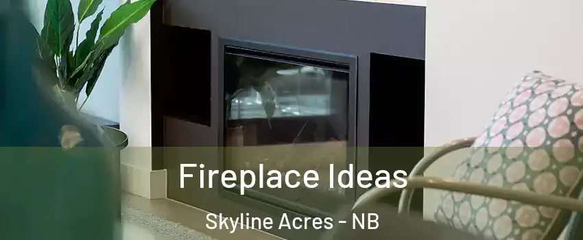  Fireplace Ideas Skyline Acres - NB