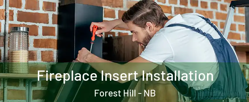  Fireplace Insert Installation Forest Hill - NB