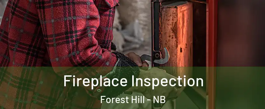 Fireplace Inspection Forest Hill - NB