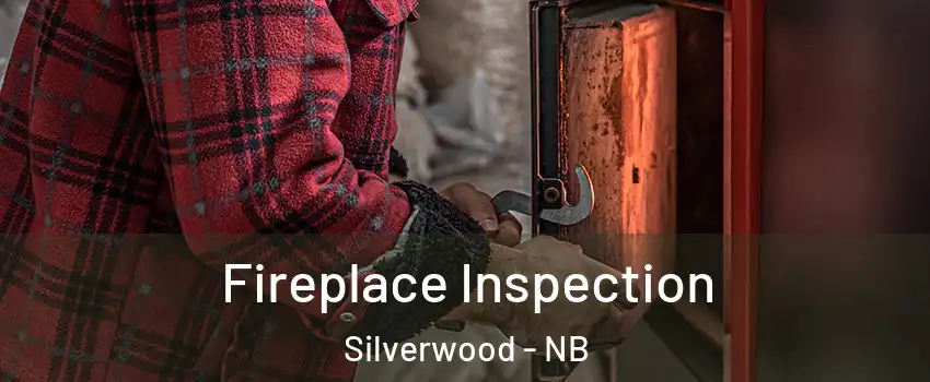  Fireplace Inspection Silverwood - NB