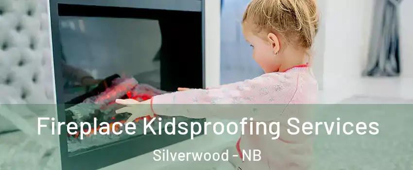  Fireplace Kidsproofing Services Silverwood - NB