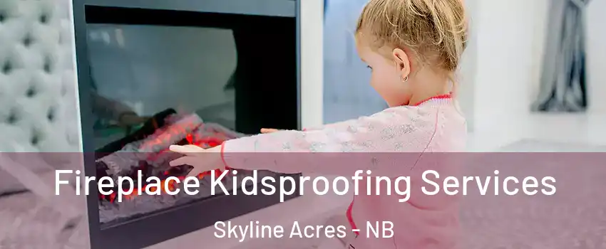  Fireplace Kidsproofing Services Skyline Acres - NB