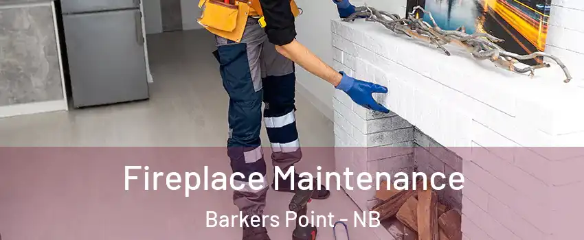  Fireplace Maintenance Barkers Point - NB