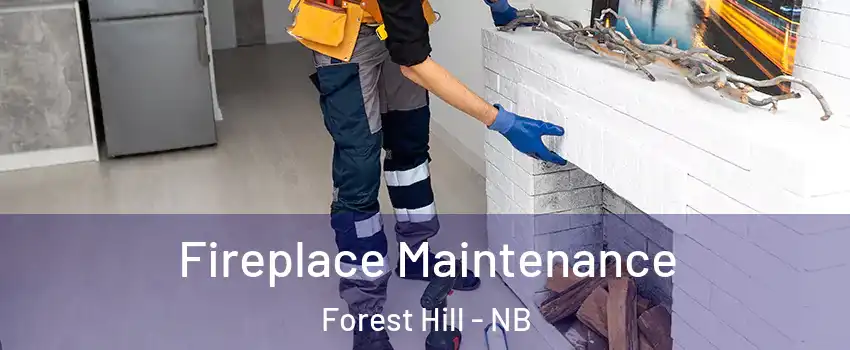  Fireplace Maintenance Forest Hill - NB
