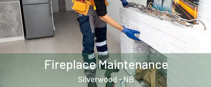  Fireplace Maintenance Silverwood - NB