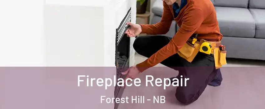  Fireplace Repair Forest Hill - NB