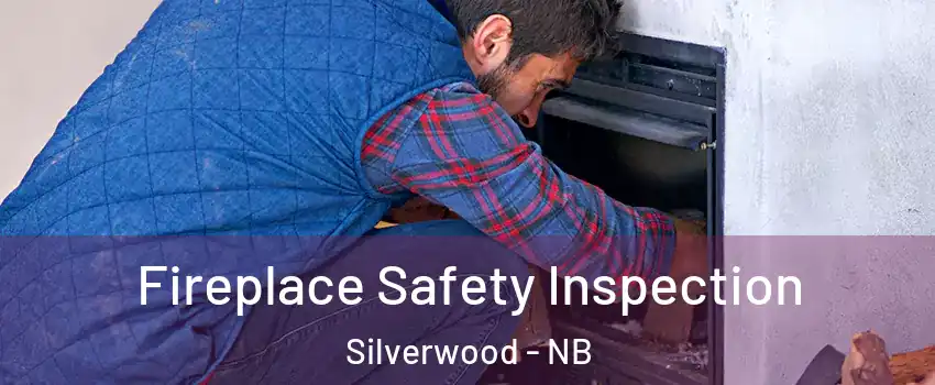  Fireplace Safety Inspection Silverwood - NB