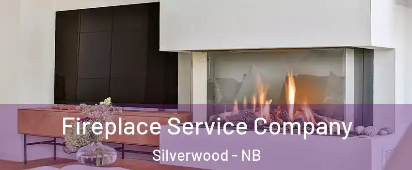  Fireplace Service Company Silverwood - NB