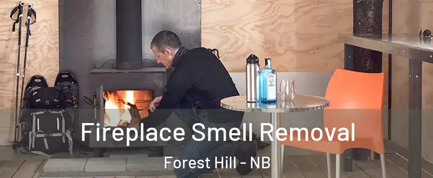  Fireplace Smell Removal Forest Hill - NB