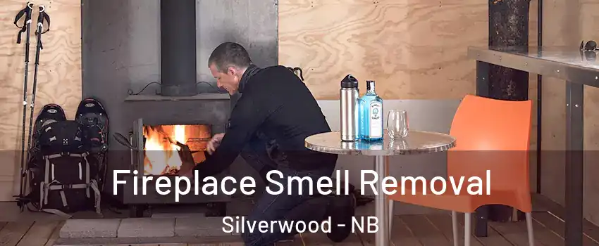  Fireplace Smell Removal Silverwood - NB