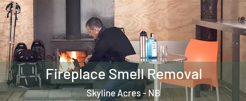  Fireplace Smell Removal Skyline Acres - NB