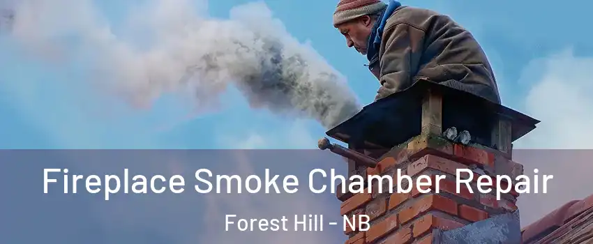  Fireplace Smoke Chamber Repair Forest Hill - NB