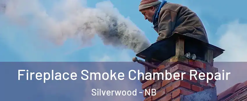  Fireplace Smoke Chamber Repair Silverwood - NB