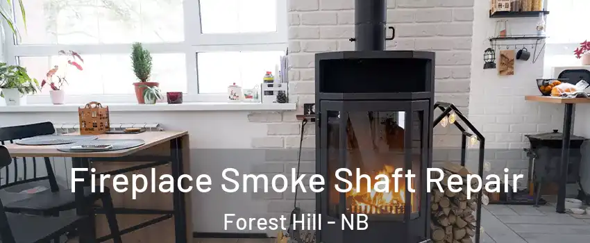  Fireplace Smoke Shaft Repair Forest Hill - NB