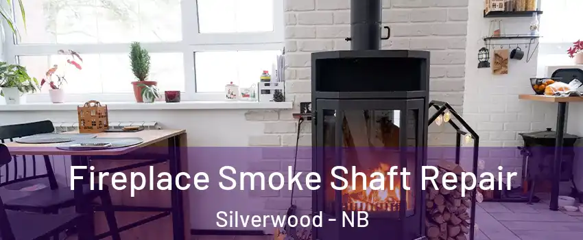  Fireplace Smoke Shaft Repair Silverwood - NB