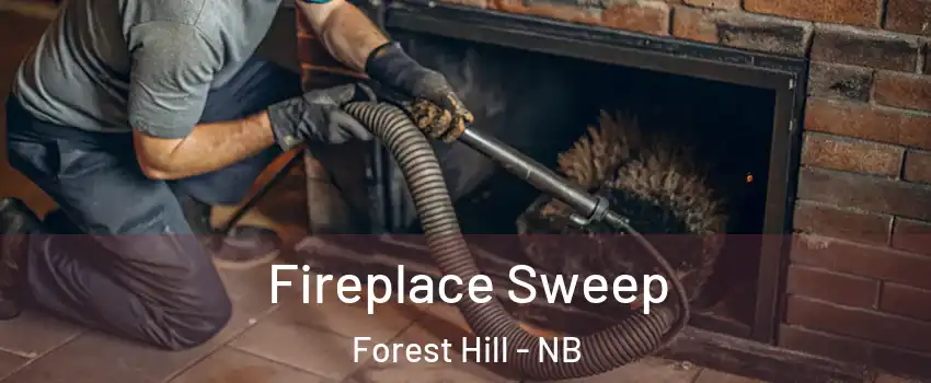  Fireplace Sweep Forest Hill - NB