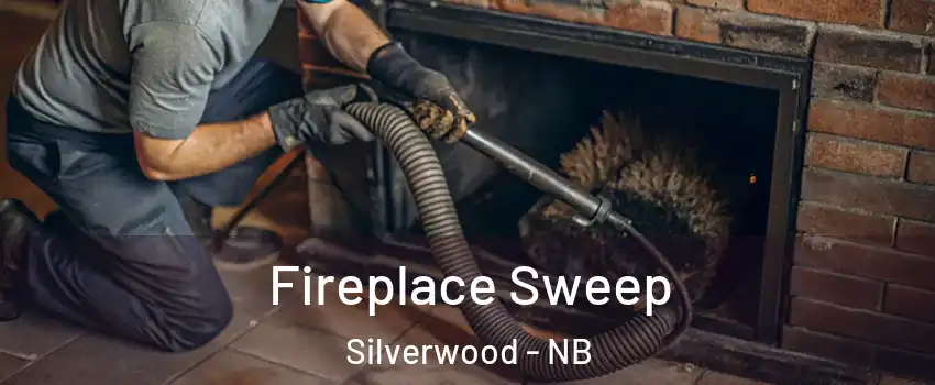  Fireplace Sweep Silverwood - NB