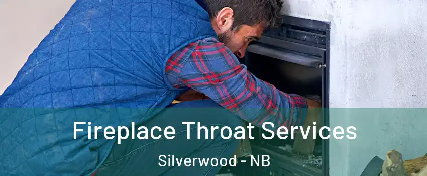  Fireplace Throat Services Silverwood - NB