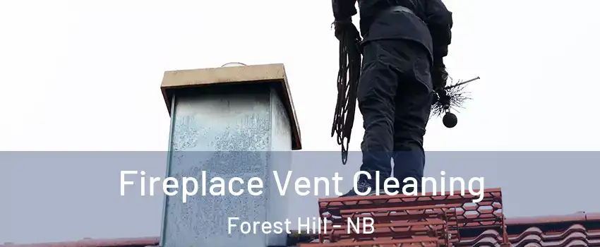  Fireplace Vent Cleaning Forest Hill - NB