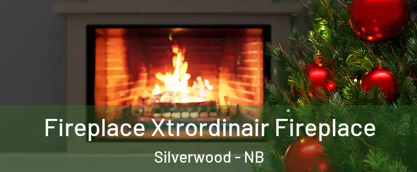  Fireplace Xtrordinair Fireplace Silverwood - NB