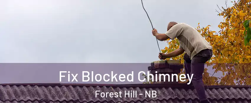  Fix Blocked Chimney Forest Hill - NB