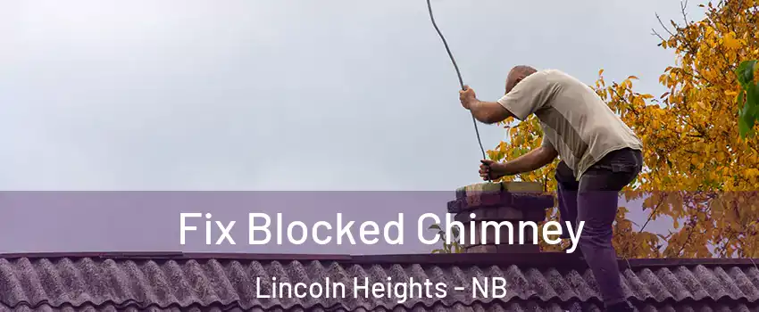  Fix Blocked Chimney Lincoln Heights - NB