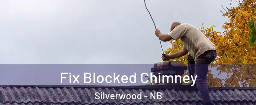  Fix Blocked Chimney Silverwood - NB