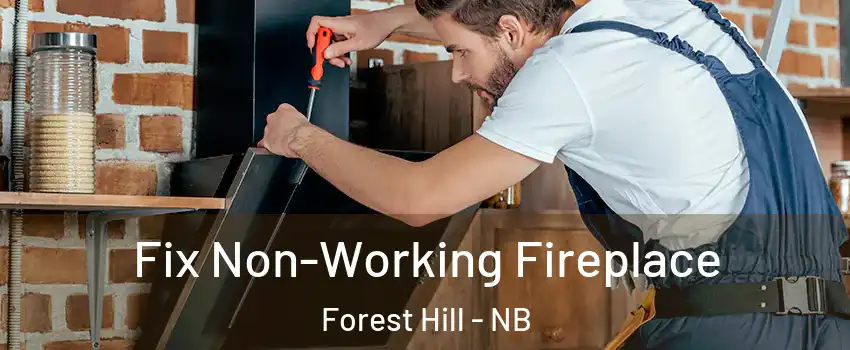  Fix Non-Working Fireplace Forest Hill - NB