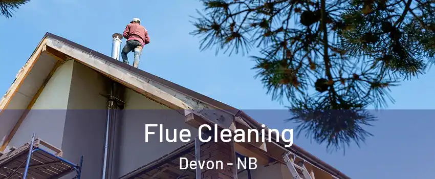  Flue Cleaning Devon - NB