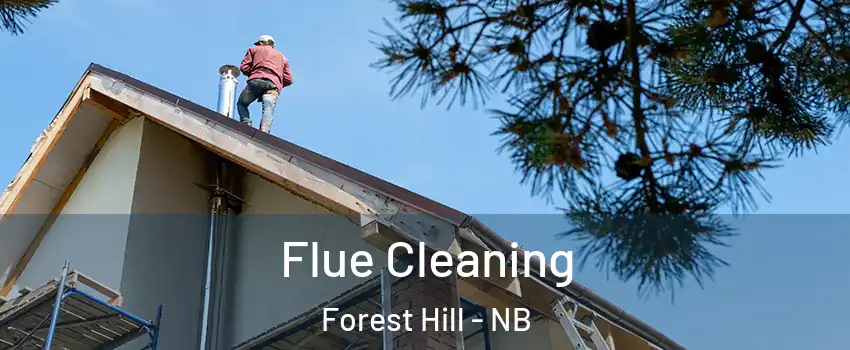  Flue Cleaning Forest Hill - NB