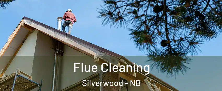  Flue Cleaning Silverwood - NB